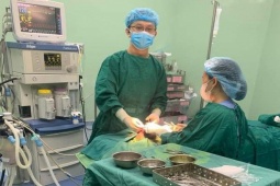 Tin tức trong ngày - Đang ngồi chơi trước nhà, bé 5 tuổi bị con chó lạ cắn rách mặt