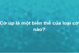 Giáo dục - du học - Bộ câu đố thử thách bạn trả lời đúng toàn bộ trong 10 phút