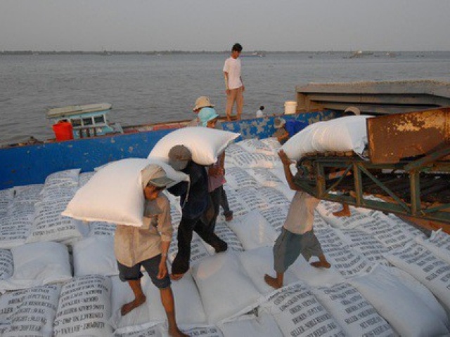 Thị trường - Tiêu dùng - Ấn Độ cấm xuất khẩu gạo, Bộ Công Thương có chỉ đạo hoả tốc