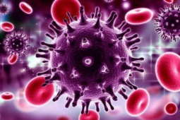 Sức khỏe đời sống - Một bệnh nhân bất ngờ khỏi hẳn HIV khi điều trị 1 bệnh khác