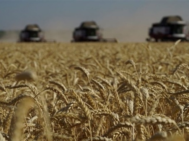 Thế giới - Nga sẵn sàng "thế chỗ" Ukraine cung cấp lương thực cho thế giới