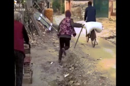 Clip hài hước - Anh chàng có sở thích "troll" người lạ cực hài