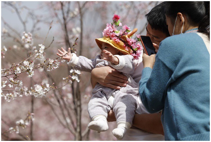 Nhiều người đàn ông rơi vào cảnh làm bố đơn thân.