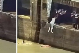 Phi thường - kỳ quặc - Nghẹt thở màn giải cứu người đàn ông nhảy sông tự tử tại Trung Quốc