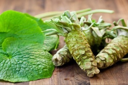 Thị trường - Tiêu dùng - Loại củ nào có từ thế kỷ 10, nay trồng bán giá đắt "cắt cổ"?