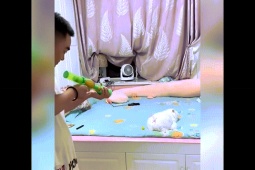 Clip hài hước - Chủ nhân mất nết "troll" mèo cưng cực hài