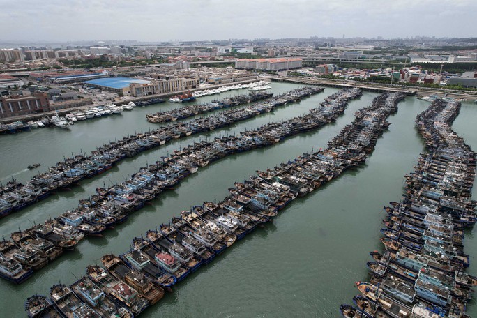 Thuyền đánh cá neo đậu tại cảng cá Gaoqi ở Hạ Môn, tỉnh Phúc Kiến hôm 26-7. Ảnh: REUTERS