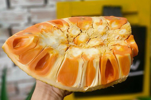 Khác với mức giá lên xuống thất thường của mít thái thì mít ruột đỏ luôn bình ổn ở mức cao.