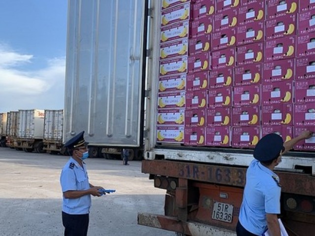 Điều tra doanh nghiệp 'đội lốt' nhập khẩu nông sản để rửa tiền