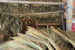 Kinh doanh - Mặt hàng ở Việt Nam rẻ bằng bát phở, sang Hàn giá cao "sốc"