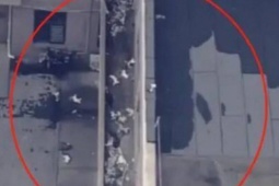 Phi thường - kỳ quặc - 15 con mèo cưng rơi tự do từ tầng 16 chung cư, cảnh sát tìm ra sự thật phía sau