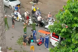 Tin tức trong ngày - Đang chạy xe, người đàn ông ngã nhào xuống đường vì nhánh cây rơi trúng