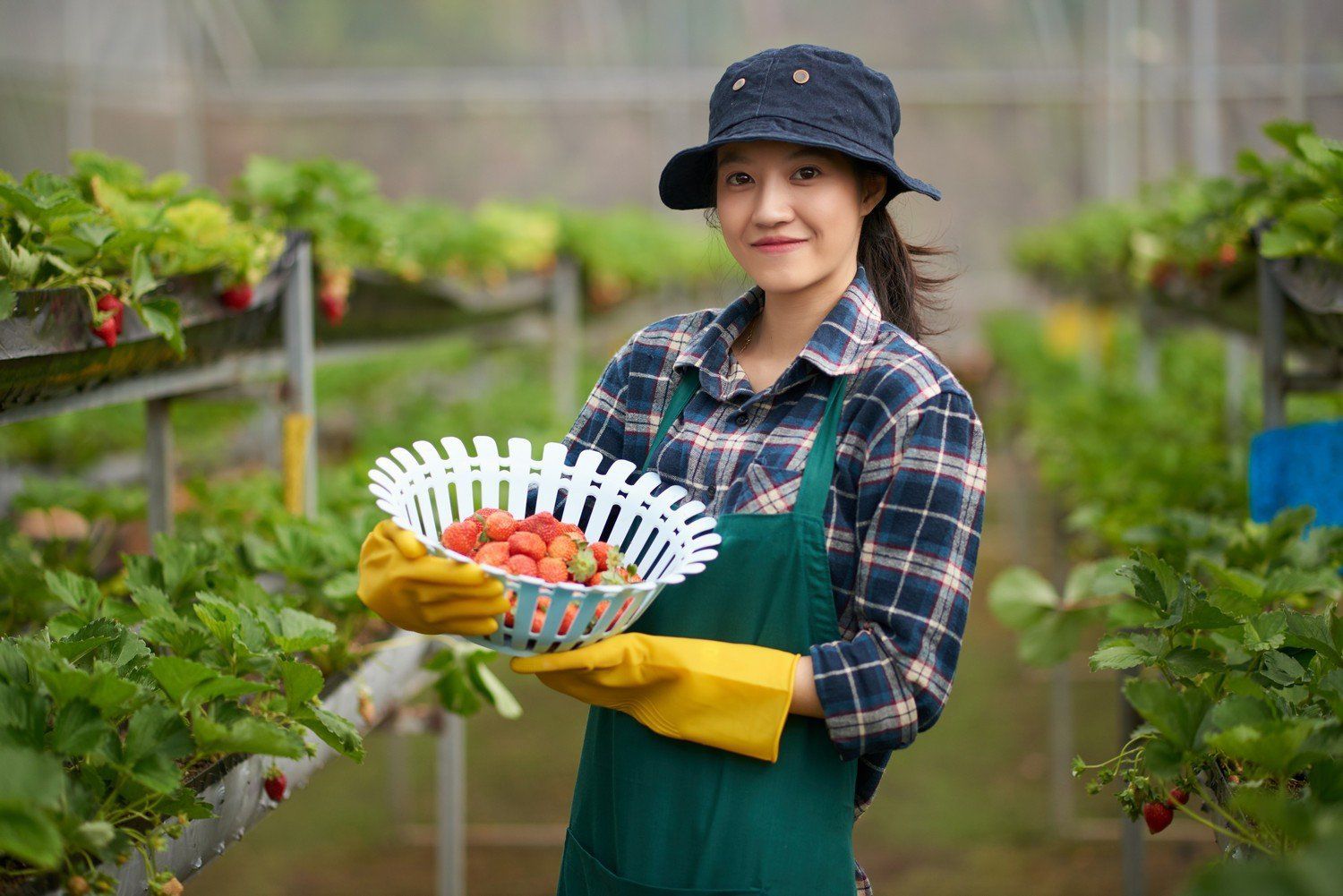 Vay vốn lãi suất hấp dẫn chỉ từ 6,5%/năm tại BIDV dành cho cá nhân - 2