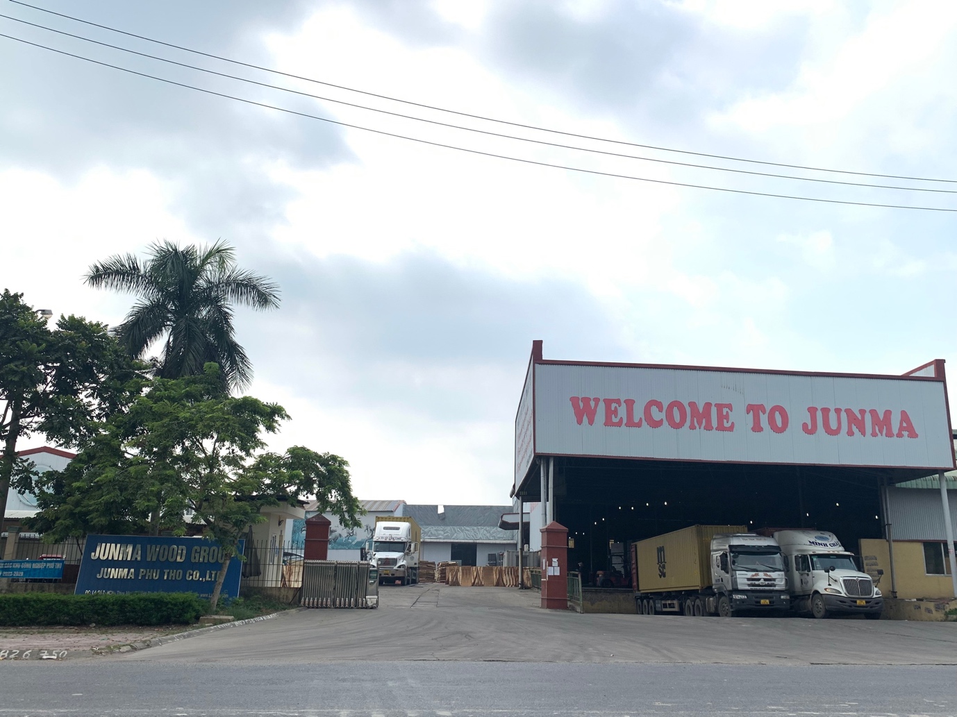 Công ty TNHH JUNMA Phú Thọ chuẩn bị phân phối gỗ ra thị trường