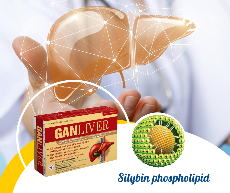 Đột phá mới giúp cải thiện các triệu chứng viêm gan nhờ hoạt chất Silybin phospholipid có trong Ganliver - 1