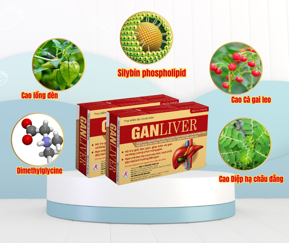 Đột phá mới giúp cải thiện các triệu chứng viêm gan nhờ hoạt chất Silybin phospholipid có trong Ganliver - 3