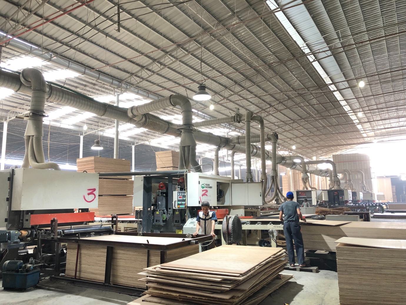 Công ty TNHH Junma Phú Thọ: Gỗ dán công nghiệp "Made in Vietnam" vươn xa thị trường Mỹ - 2