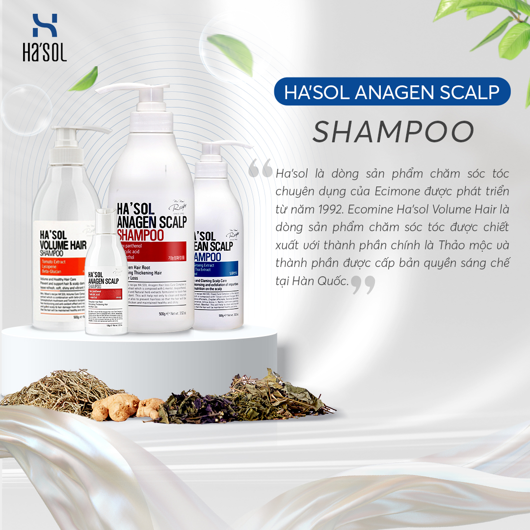 Ha'sol Ecomine - Thương hiệu sản phẩm chăm sóc tóc uy tín tại Hàn Quốc - 3