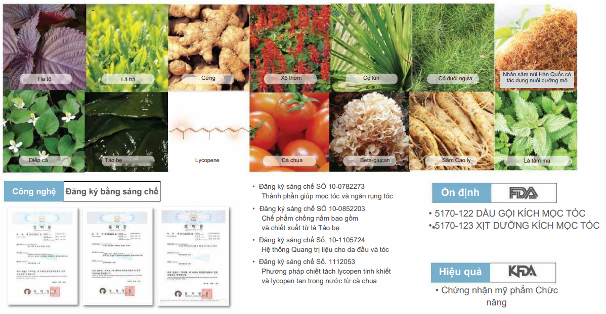 Các thành phần đã được cấp bằng sáng chế tại phòng nghiên cứu Ecomine R&D Hàn Quốc