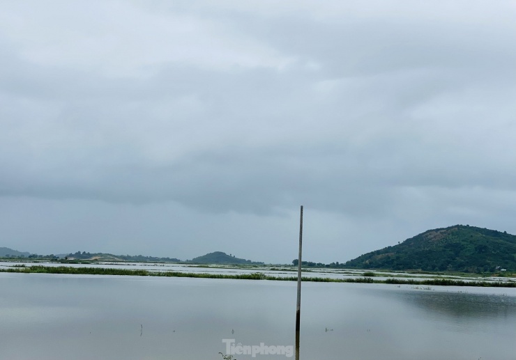 Những ngày qua tại Đắk Lắk, mưa lớn kéo dài khiến cho nước sông Krông Ana dâng cao đột ngột.
