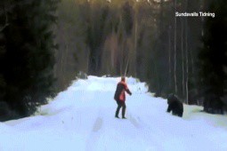 Video: Phản ứng của người đàn ông khi bị gấu tấn công khiến ai cũng bất ngờ