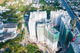 Kinh doanh - Lý do Ricons kiện nhà thầu lớn nhất Việt Nam, yêu cầu mở thủ tục phá sản