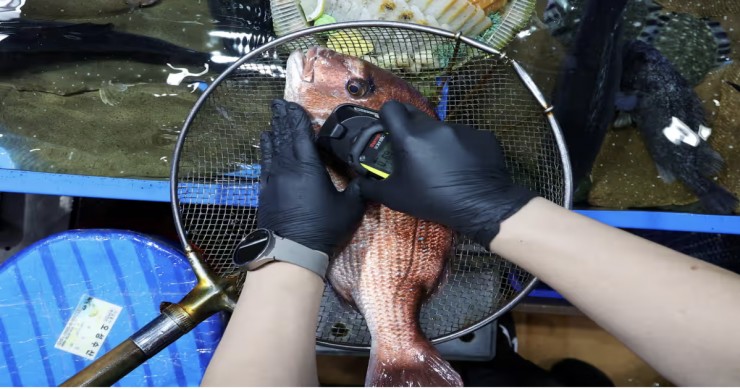 Một con cá được đánh bắt gần nhà máy hạt nhân Fukushima I có hàm lượng phóng xạ cesium-137 vượt mức cho phép.&nbsp;Ảnh: Kim Hong-Ji/Reuters