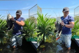 Thị trường - Tiêu dùng - 8X "biến" sân thượng rộng 50m2 thành vườn trồng rau, nuôi cá, ai nhìn cũng thích mê