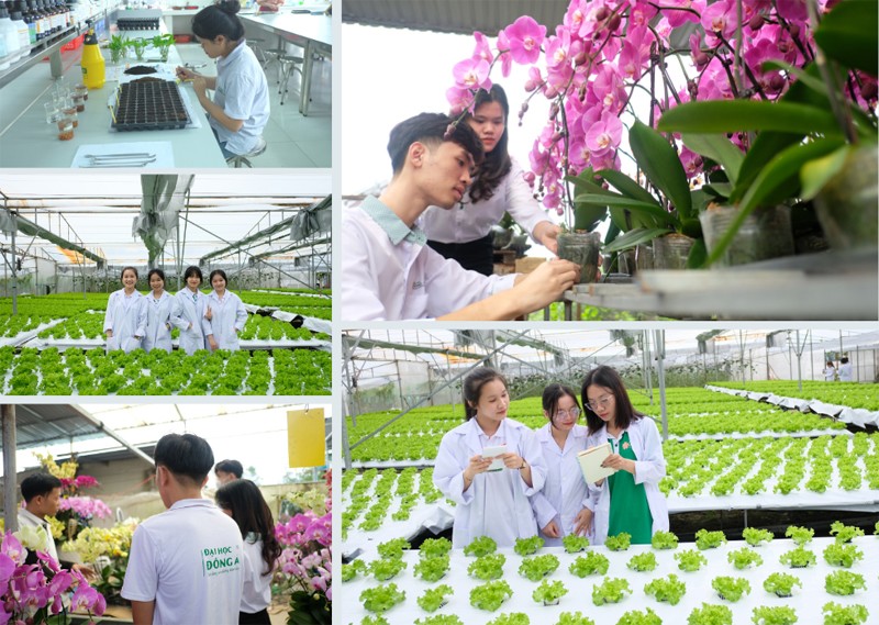 Bùng nổ cơ hội lớn khi chọn học ngành Nông nghiệp - 1
