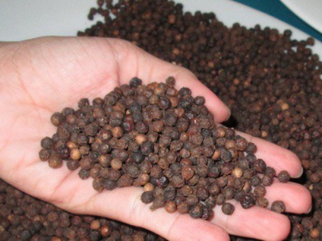 Thị trường - Tiêu dùng - Nguy cơ mất lô hàng hơn nửa triệu USD khi xuất vào UAE, Thủ tướng chỉ đạo "khẩn"