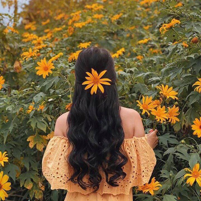 Nếu bạn đến đây vào mùa hoa dã quỳ sẽ được chiêm ngưỡng cảnh vườn hoa dã quỳ vàng cam cực đẹp. Đây cũng chính là nơi cho ra đời những bức hình sống ảo đặc sắc. (Ảnh: Phạm Lan Hương)