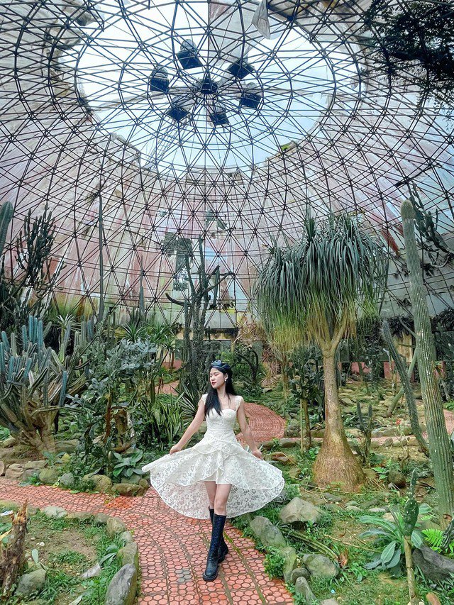 Vườn Quốc gia Ba Vì (Ảnh: Bích Ngọc)