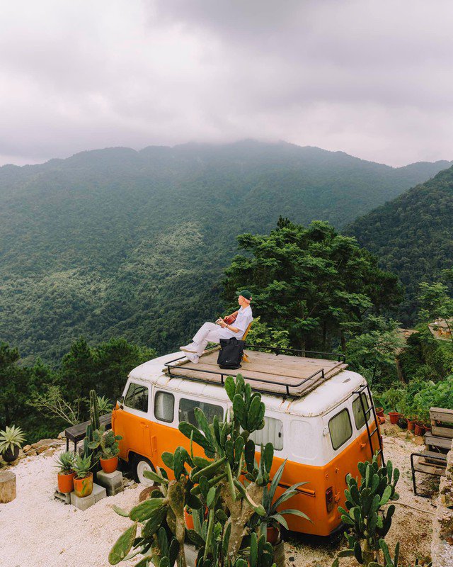 Không cần lên tận Đà Lạt đâu nhé, ở ngay Tam Đảo bạn cũng sẽ được check in với khung cảnh vườn xương rồng như khu du lịch Đà Lạt (Ảnh: Bùi Quang Thụy)