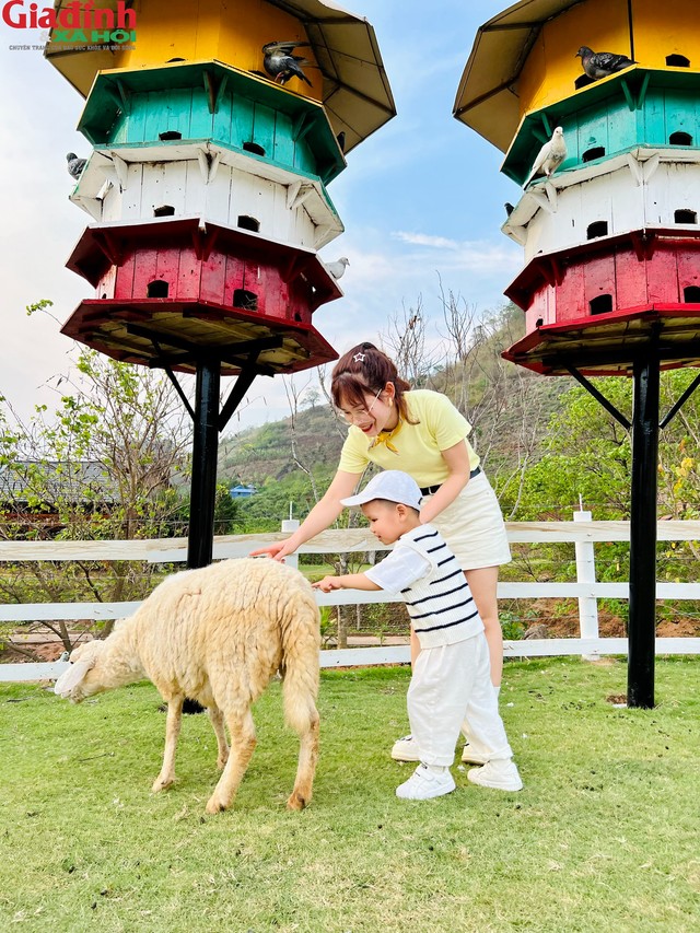 Ngoài ra, đến Mộc Châu bạn còn có thể tham gia những hoạt động thường ngày của người dân địa phương.