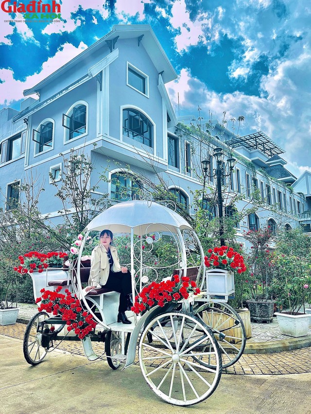 Check in tại Thung lũng Mường Hoa Sapa