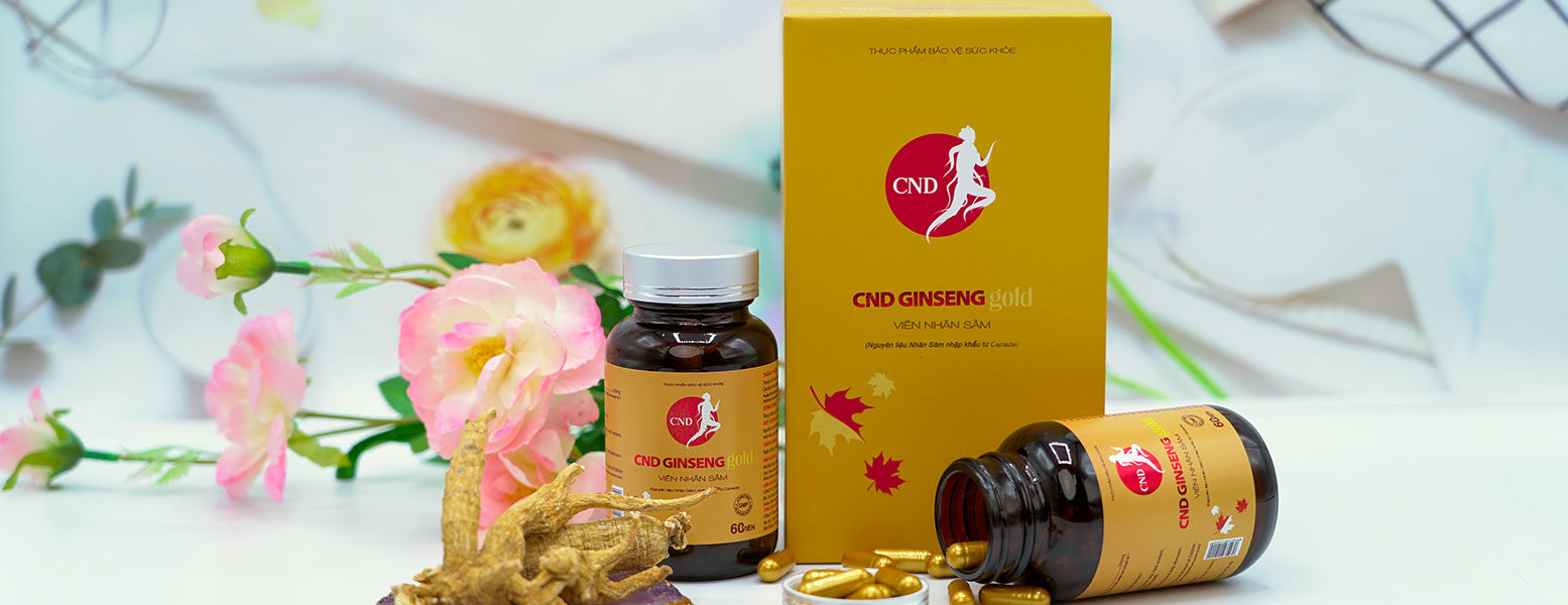 Sâm Bắc Mỹ: Hành trình tâm huyết vì sức khoẻ cộng đồng - 2