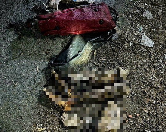 Tứ chi được phát hiện đã bị thiêu cháy