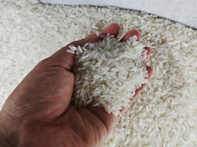 Kinh doanh - Một cổ phiếu ngành gạo tăng giá gần gấp 3 lần chỉ trong 2 tuần