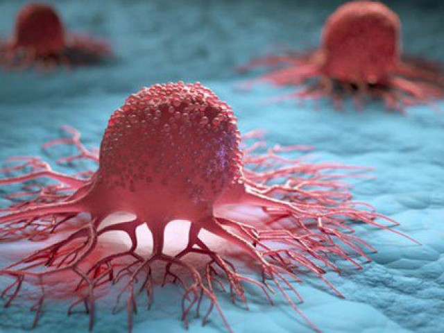 Đột phá từ Mỹ: Tìm ra cách khiến tế bào ung thư tự hủy
