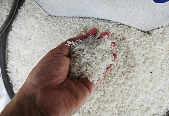 Giá gạo tăng nóng sau lệnh cấm xuất khẩu gạo của Ấn Độ