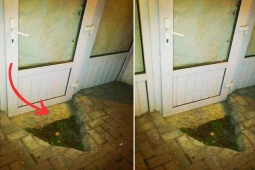 Tranh vui - Cải tạo nhà phiên bản lỗi khiến chủ nhân "câm nín"