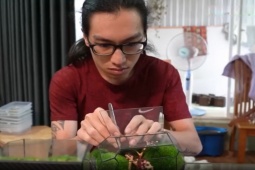 Media - Từ đầu bếp thành người sáng tạo tranh rêu độc đáo