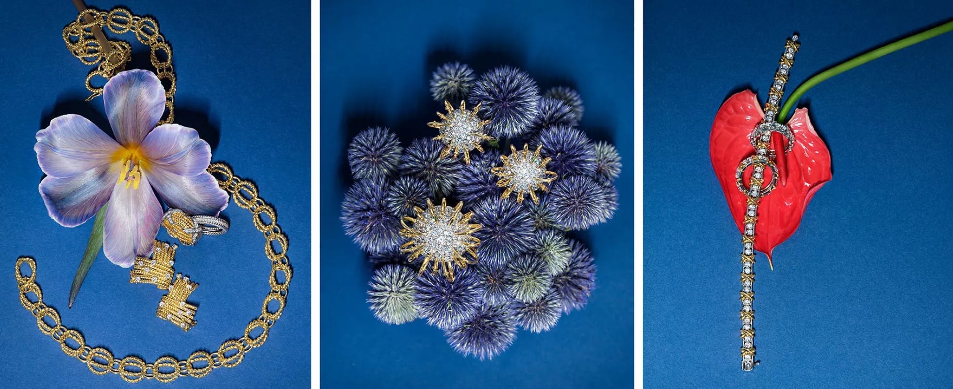 Mỗi lần hợp tác gây nức lòng giới mộ điệu thời trang của Tiffany & Co. - 1