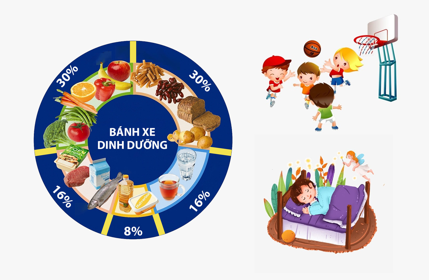 Dinh dưỡng, vận động và giấc ngủ là các yếu tố quan trọng quyết định chiều cao