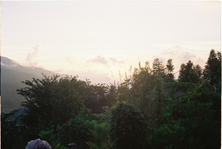 View nhìn từ homestay.