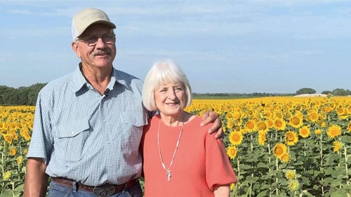 Cụ ông trồng tặng vợ 1.2 triệu bông hoa hướng dương khiến giới trẻ ghen tị - 1