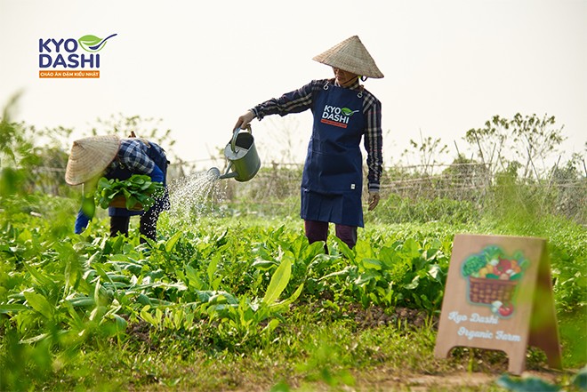 Farm hữu cơ nhà Kyo Dashi có gì hot mà làm mẹ mê mẩn? - 4