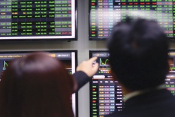 Kinh doanh - Cổ phiếu MHC tăng trần 5 phiên liên tiếp