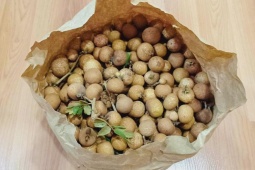 Thị trường - Tiêu dùng - Loại nhãn giá bán đến gần 200.000 đồng/kg, nhà vườn hái không đủ bán