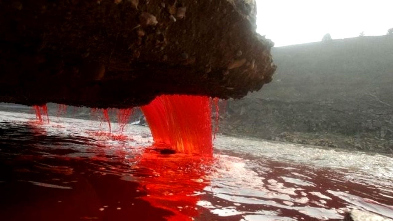 Bí ẩn dòng nước có màu đỏ rực như máu ở Nam Cực - 3